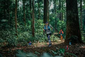 BIB: 
                            <button type="button" onclick="openModal(26134250)" class="btn btn-primary btn-sm float-right btn-popup" data-toggle="modal" data-target=".modal-high-quality">
                        <i class="fas fa-shopping-cart"></i> Add to Cart
                    </button>
                                            <button type="button" onclick="isThisMe(26134250, true)" class="btn btn-success btn-sm float-right btn-popup btn-isme hidden" data-toggle="tooltip" data-placement="bottom" title="นี่คือรูปของคุณใช่ไหม คลิกที่นี่เพื่อเอาเข้าอัลบั้ม">
                        <i class="fas fa-plus"></i> Add to album
                    </button>
                    <button type="button" onclick="isThisMe(26134250, false)" class="btn btn-warning btn-sm float-right btn-popup btn-isnotme hidden">
                        <i class="fas fa-ban"></i> Remove from album
                    </button>